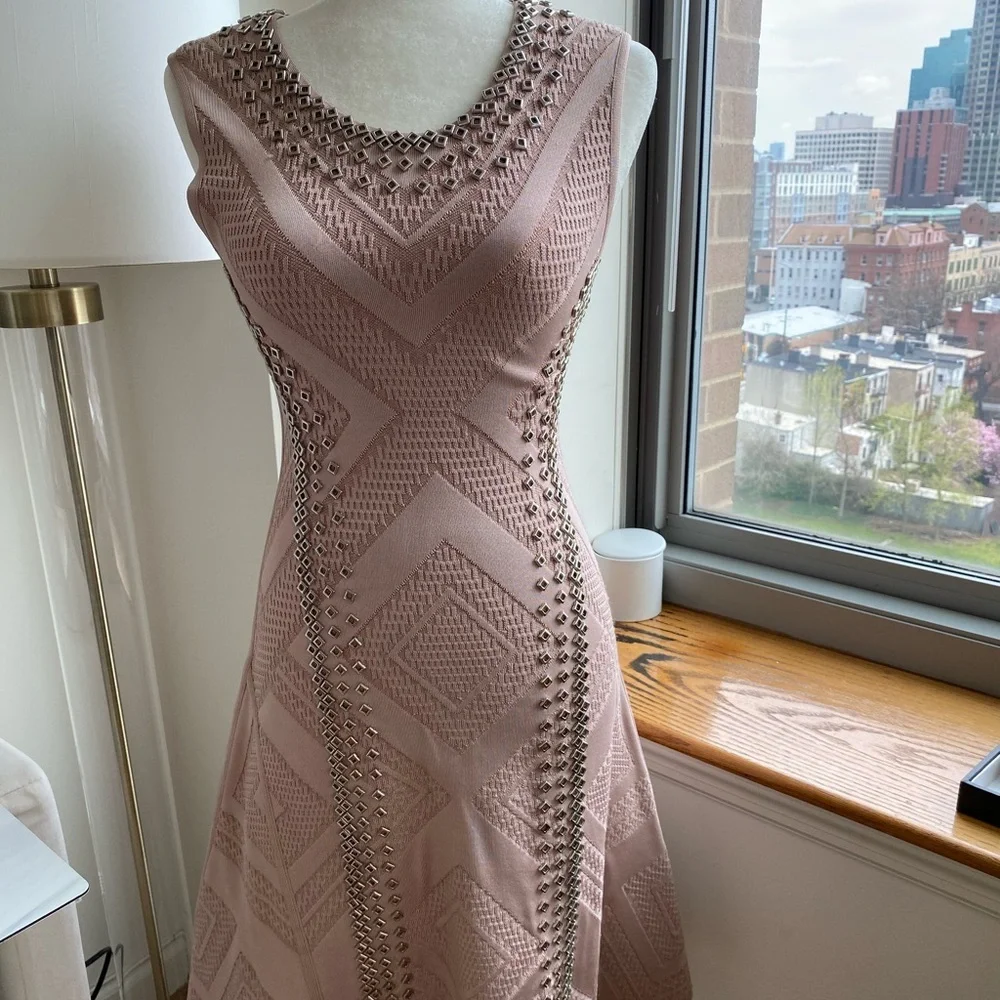 Herve Leger | Dresses | Herve Leger Xs Nude Rose Pink Flare Dress Rare |  Poshmark